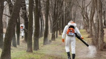 В Топкинском округе началась химическая обработка территорий от клещей.