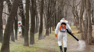 В Топкинском округе началась химическая обработка территорий от клещей.