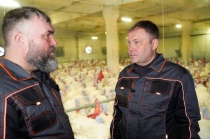 Илья Середюк: за полгода поголовье индейки в Кузбассе увеличилось в восемь раз