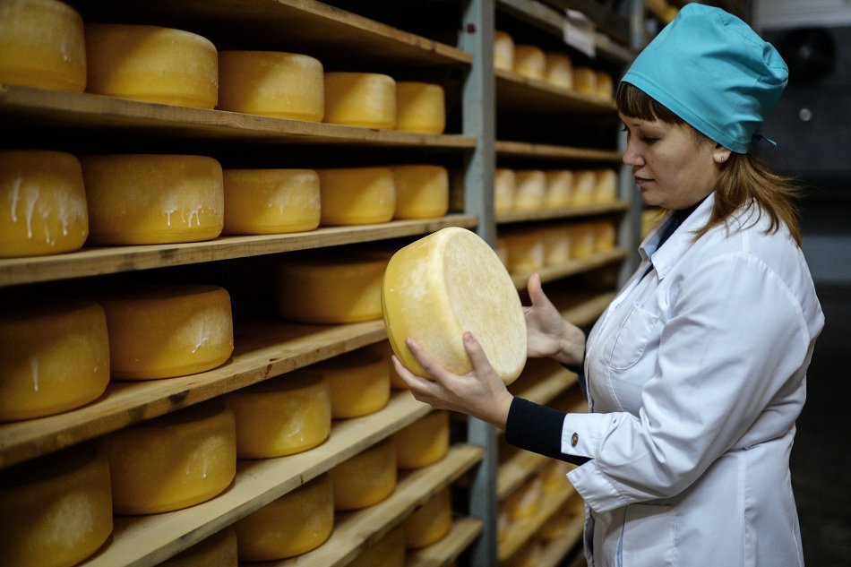 производство сыров.jpg